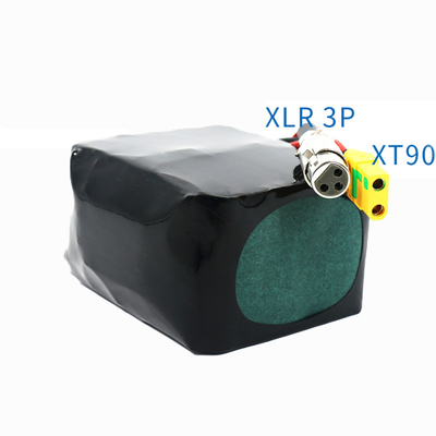 Kundengebundener Lithium-Batterie-Satz 36V 10.5A mit Einschließung IPX5